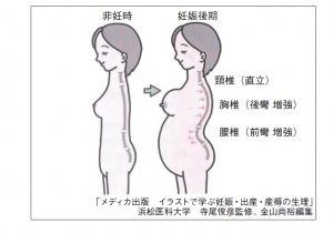 腰痛姿勢 4