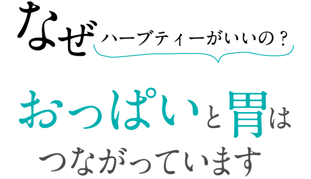 なぜハーブティーがいいの？おっぱいと胃はつながっています