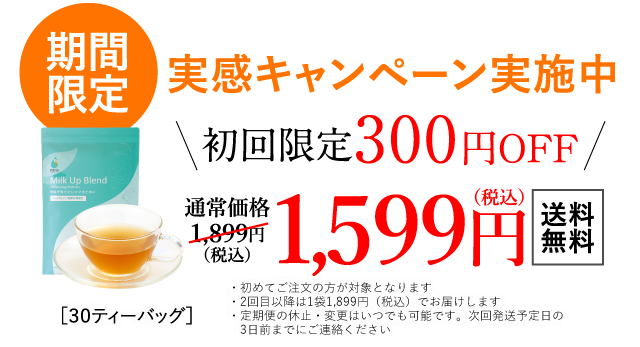 期間限定　実感キャンペーン実施中　初回300円オフ　送料無料1599円税込み