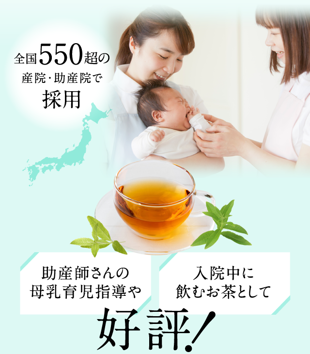 助産師さんの母乳育児指導や入院中に飲むお茶として好評！
