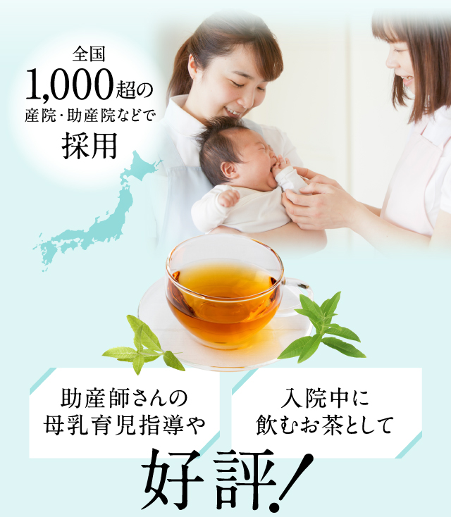 助産師さんの母乳育児指導や入院中に飲むお茶として好評！