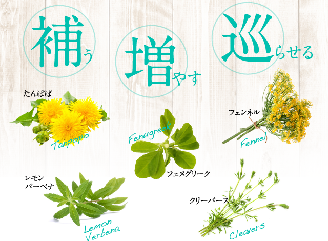 補う 増やす 巡らせる