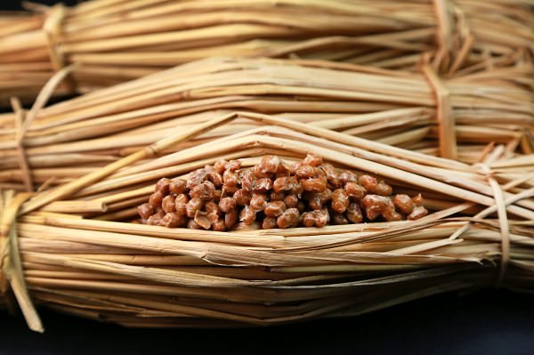 初期食べ物大豆