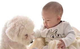 【助産師監修】赤ちゃんと犬や猫は一緒に暮らせる?メリットや気をつけるべき事について