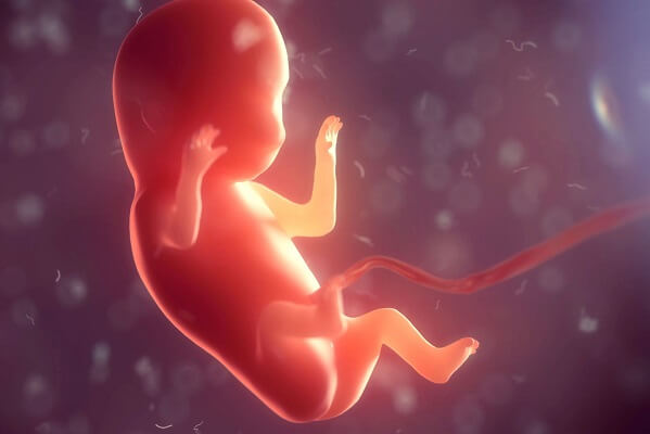 助産師監修 妊娠11週目 妊娠3ヶ月 のお腹の中の赤ちゃんの様子について