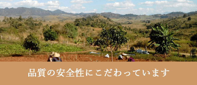 品質の安全性にこだわっています