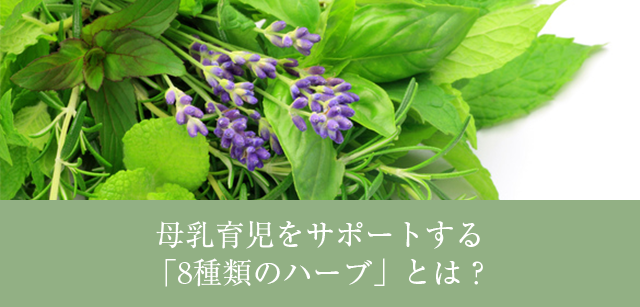 配合ハーブのご説明