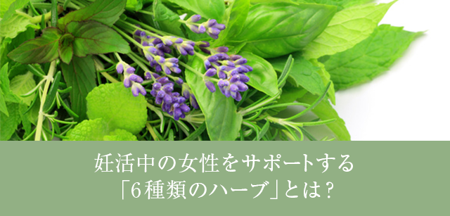 配合ハーブのご説明